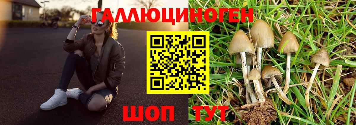 Галлюциногенные грибы GOLDEN TEACHER Белая Калитва